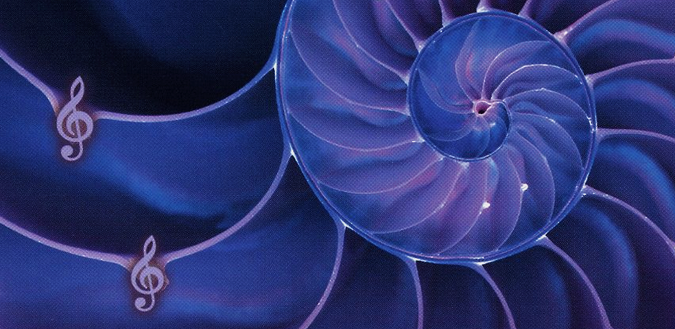 Music to Whose Ears? Music, Emotion, and Mind