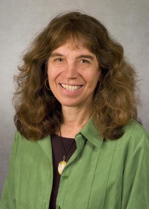 Susan Lutgendorf