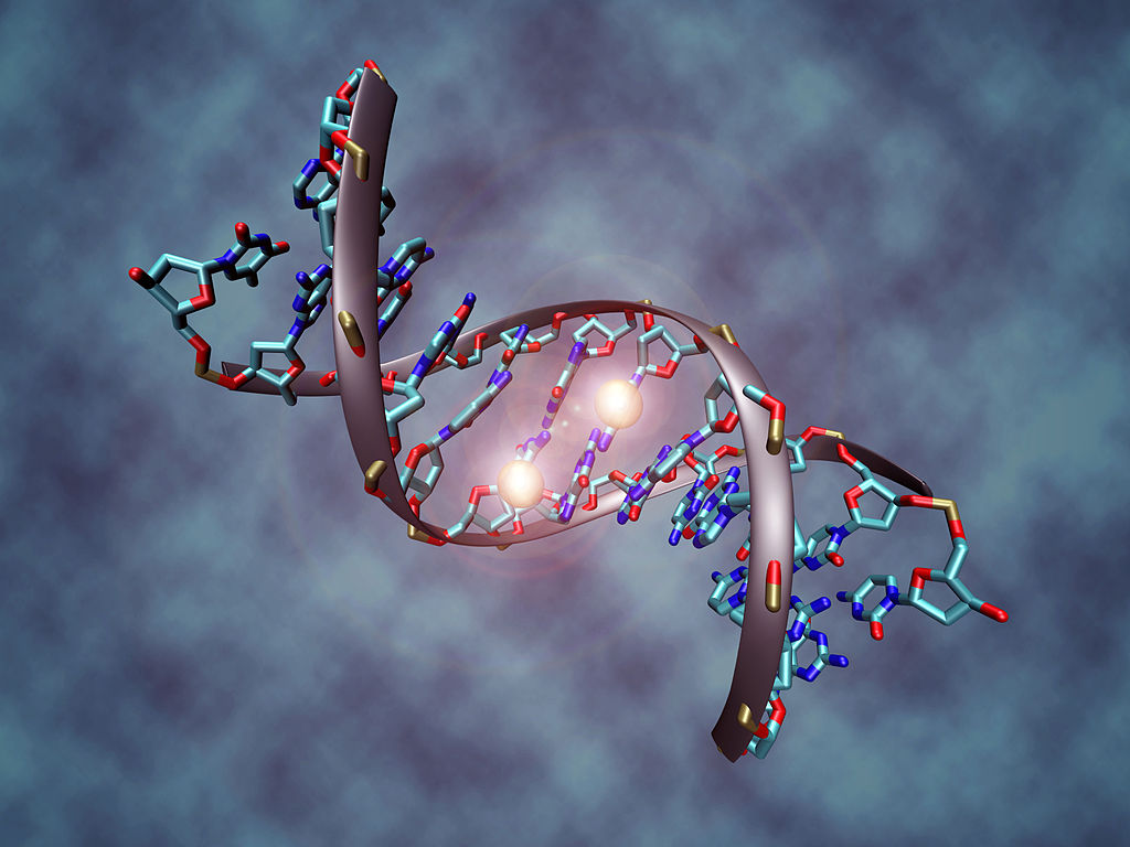 Epigenetics at Work