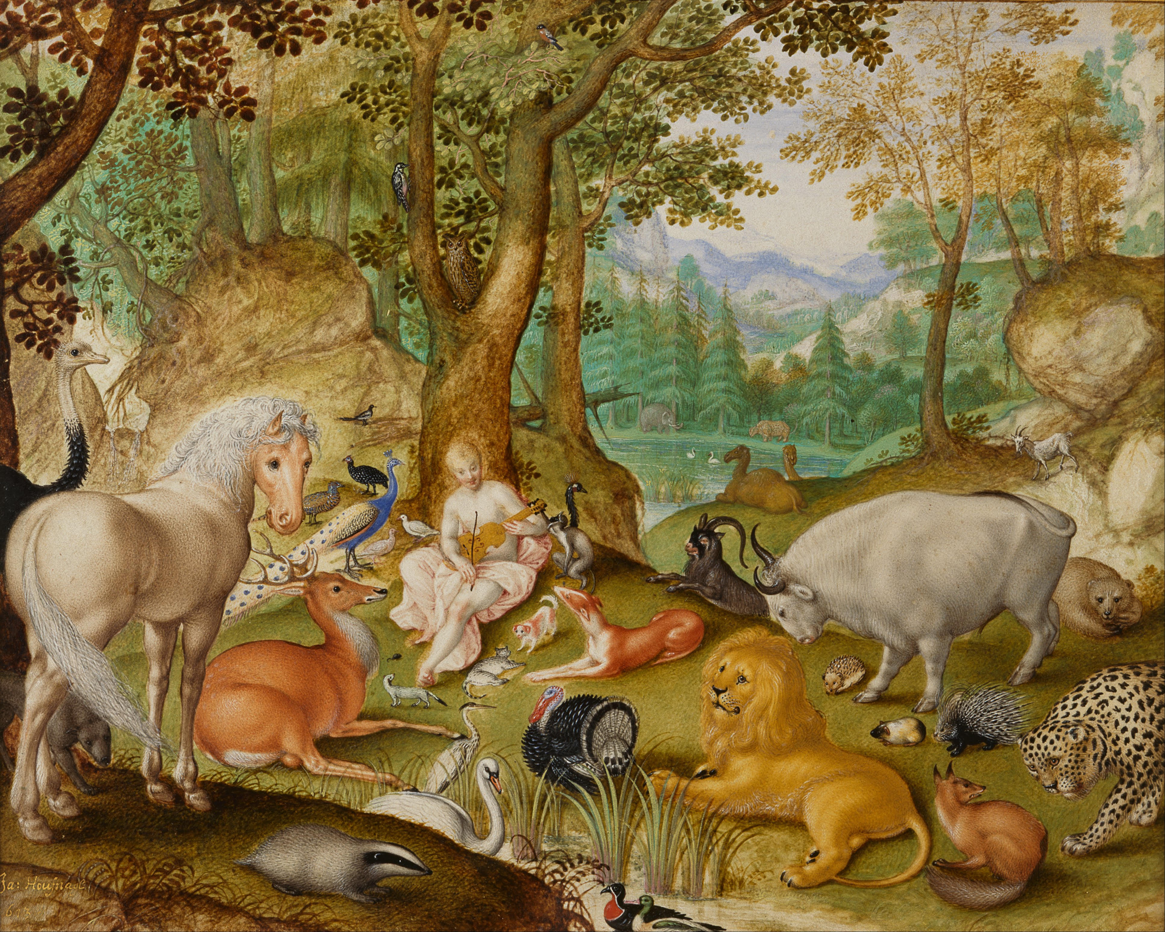 The Animal Human Continuum episode artwork