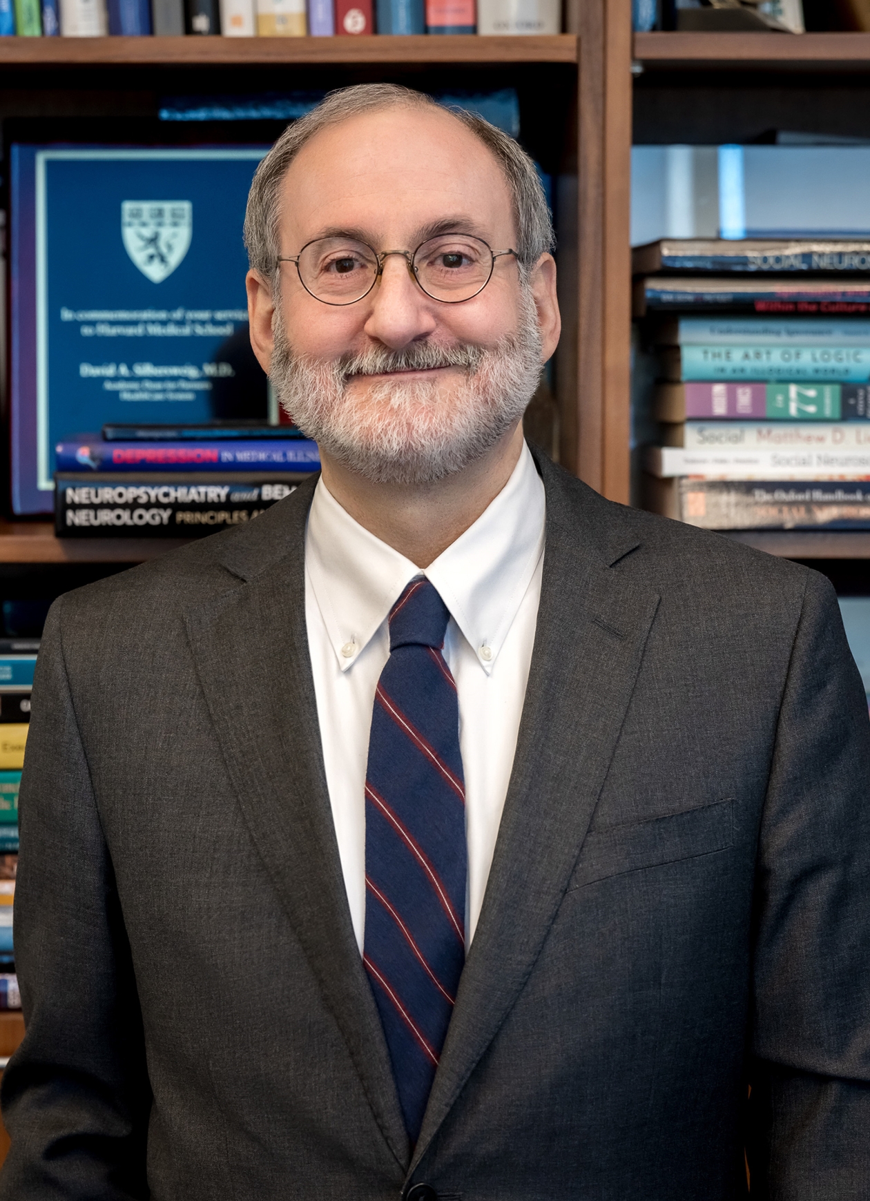 David Silbersweig